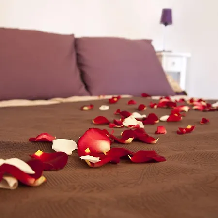 Apartman Husova *